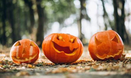 Halloween se blíží, ideální čas strávit večer se strašidelnými příběhy. Na těchto stránkách se budete bát