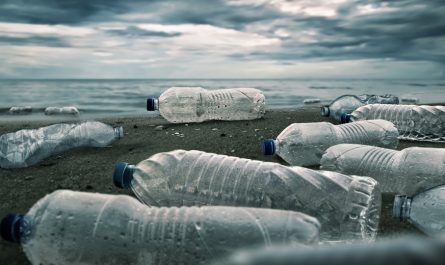 Víte, jak se zbavit plastového odpadu? Vědec z Chorvatska vám to prozradí